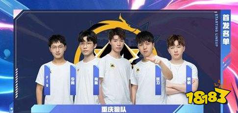 效率与合规